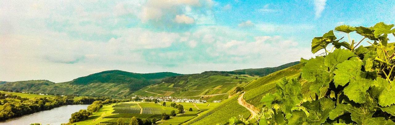 Gaestehaus Weingut Meierer Kesten ภายนอก รูปภาพ